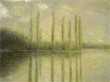 Alberi_su_fiume.JPG