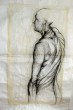 anatomia_(7).JPG
