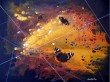 danza_cosmica_tramonto.jpg