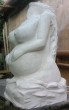 Gestazione.jpg