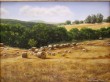 campagne_di_Aprilia_-_olio_su_tela_40_x_30__rid.jpg