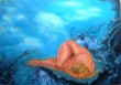 DSCF2411.JPG