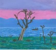 Il_lago_di_bolsena.jpg