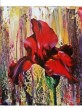 IRIS_750_ROS.jpg