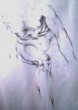 Torso1.jpg