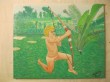 CUPIDO_11.JPG