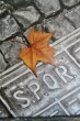 PAESAGGIO_ROMANO_tecnca_mista_su_tavola_50x60_2010.jpg