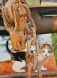 L__aventurier__Acrylique_sur_toile__70x50.jpg