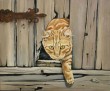 L_explorateur__Acrylique_sur_toile__55x45.jpg