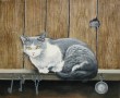 Le_chat_et_la_souris__Acrylique_sur_toile__45x35.jpg