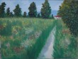 Flower_Fields_28Oil_on_canvas_40x3029.jpg