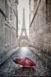 Parigi.jpg