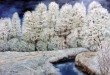 33a_-_soffice_neve_-_90x60_-_telaio_di_4cm.JPG