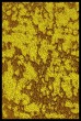 AURUM.jpg