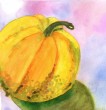pumpkin.jpg