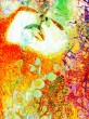 SOGNA_ROSE_PRIMAVERA__60x80-olio_su_tela.jpg