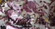 WEB0003-25x14-FOGLIO.jpg