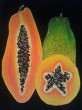 Papaya.jpg