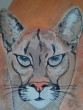 cougar.jpg