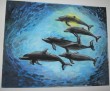 IMG_1275.jpg