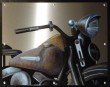 Harley.jpg