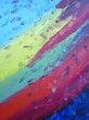 I_Colori_della_Vita.JPG