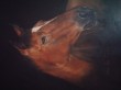 20160530_155935.jpg