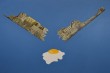 Ecce_ovo_-_acrilico_su_tela_90x60cm_28201429p.jpg