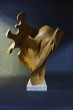 Ulmus_-_olmo_45_x34x53cm_28201329p.jpg