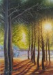 la_pineta_di_Bianco_28229.jpg