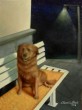 Ritratto_cane_di_Antonio_Gonella.jpg