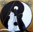Yin___Yang.jpg