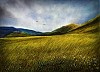 QUADRO__PRIMAVERA__PRATO.jpg