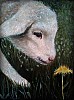 quadro__animale__agnellino.jpeg