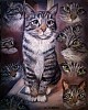 quadro__animali_gatto__princess.jpg