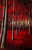 quadro__autunno__bosco.jpeg