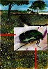 1904156_10202635462480002_1706423697_n.jpg