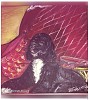 IMG_0222.jpeg