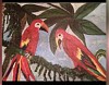 IMG_0233.jpeg