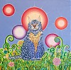 Gato-2.jpg
